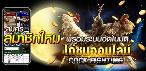 sign up cockfight